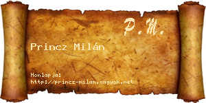 Princz Milán névjegykártya